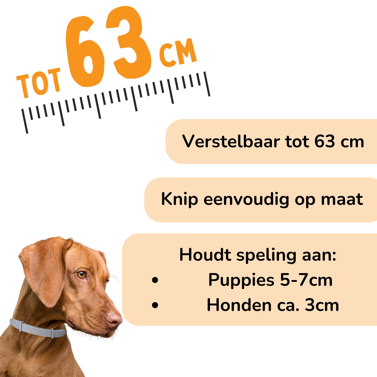 Vlooienband Hond - Effectief Tegen Vlooien En Teken - 100% Natuurlijk - Organic