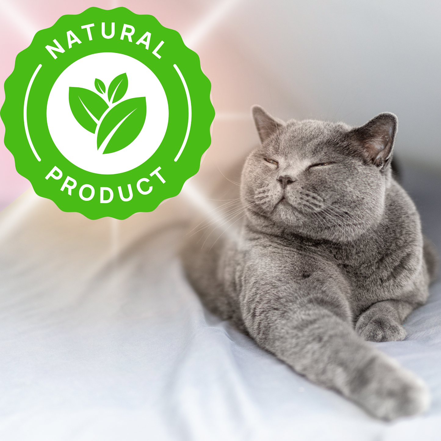 Vlooienband Kat - Effectief Tegen Vlooien En Teken - 100% Natuurlijk - Organic