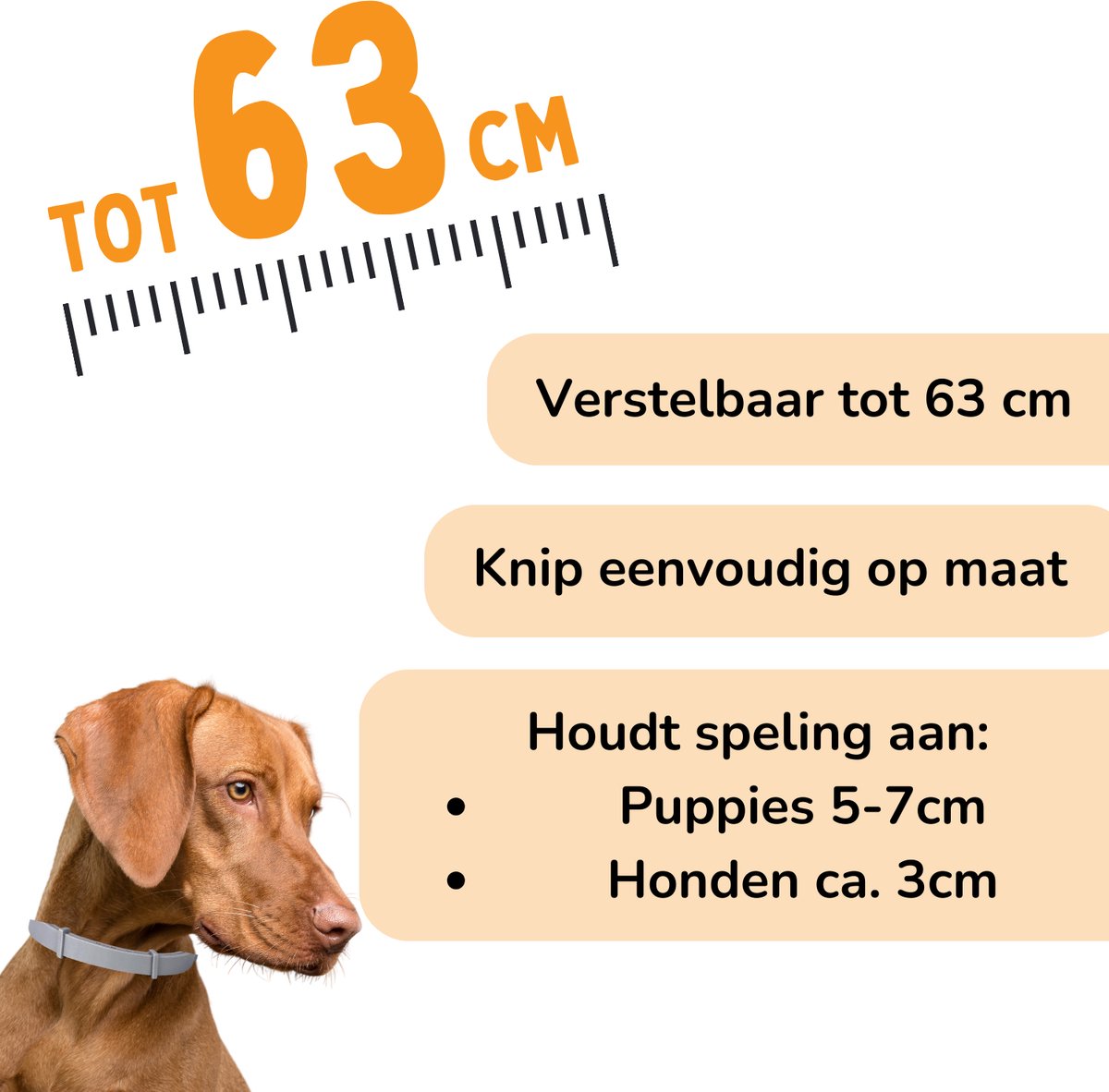 Vlooienband Hond - Effectief Tegen Vlooien En Teken - Grijs