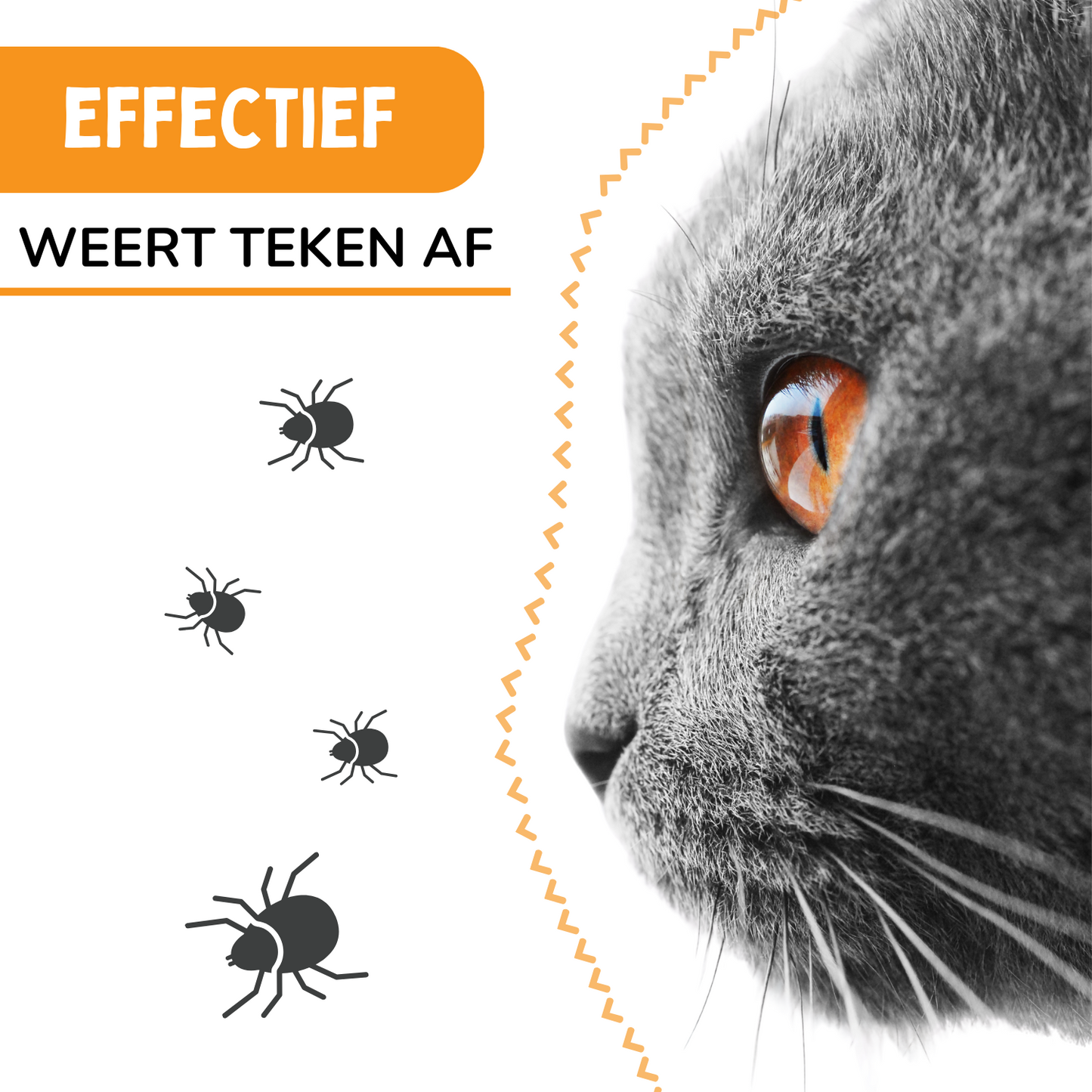 Vlooienband Kat - Effectief Tegen Vlooien En Teken - Grijs of Zwart