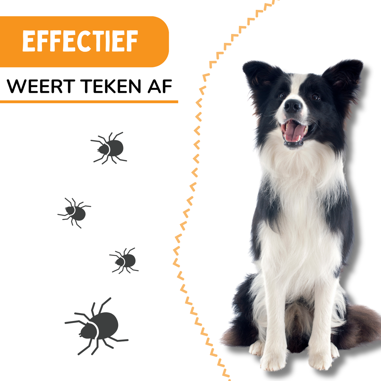 Vlooienband Hond - Effectief Tegen Vlooien En Teken - Zwart