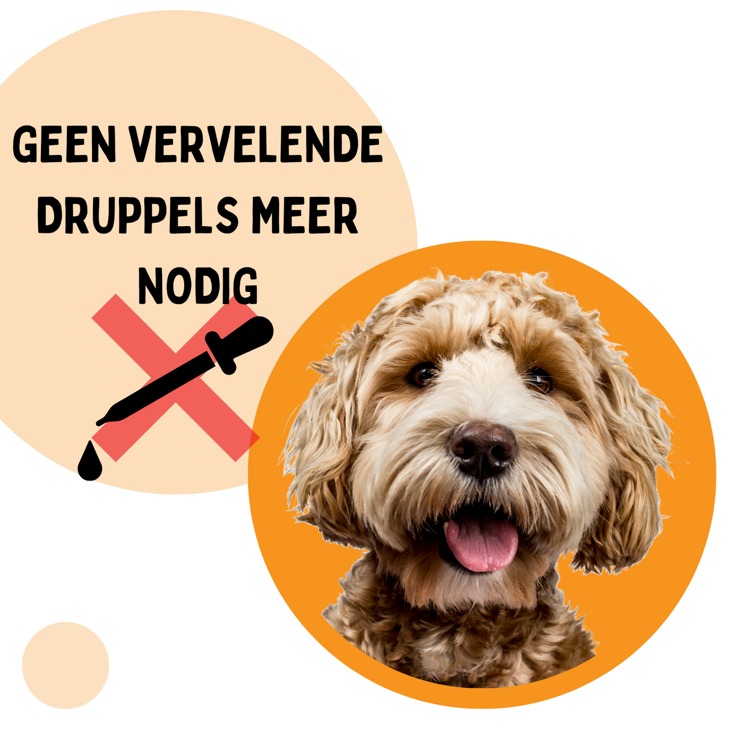 Vlooienband Hond - Effectief Tegen Vlooien En Teken - Zwart