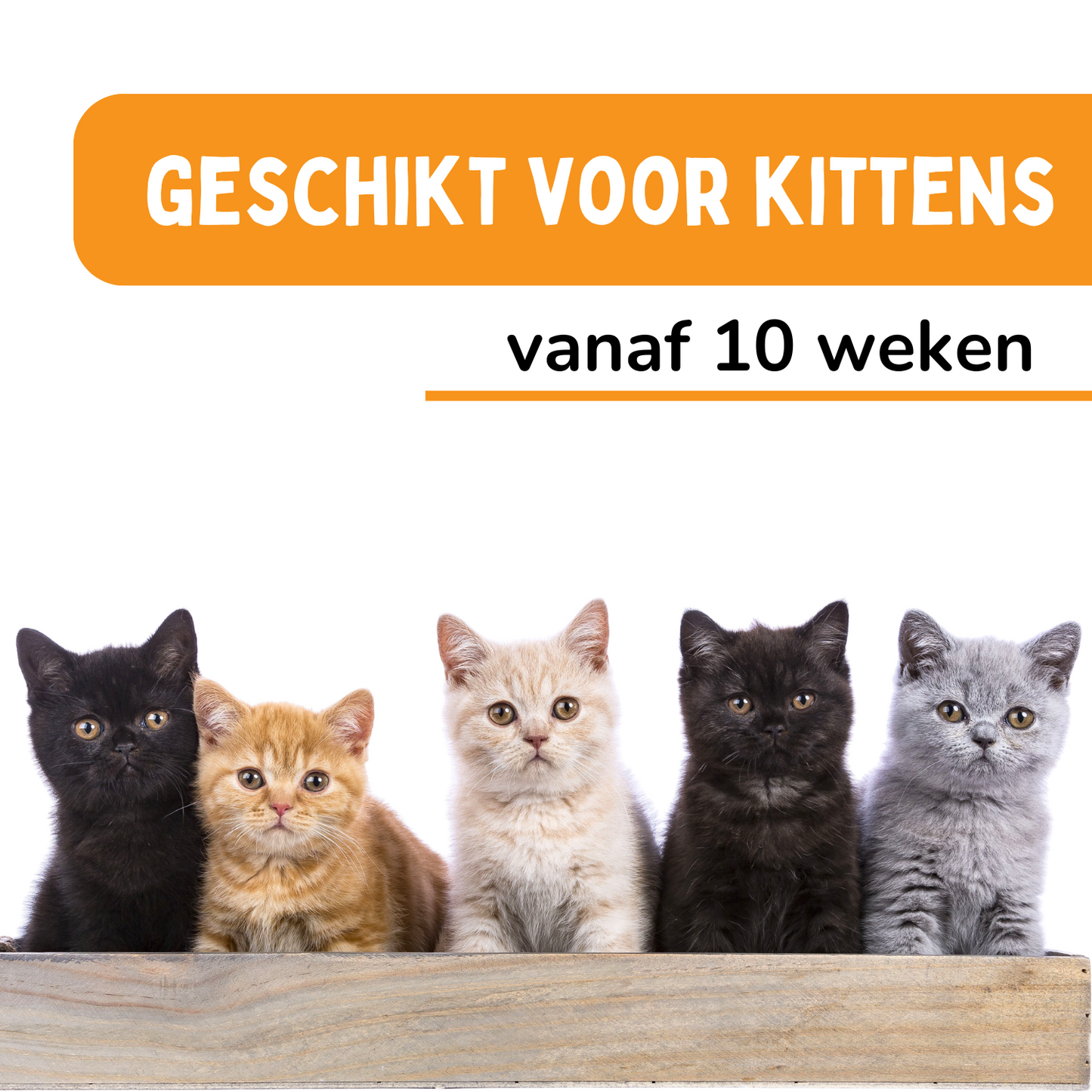 Vlooienband Kat - Effectief Tegen Vlooien En Teken - 100% Natuurlijk - Organic