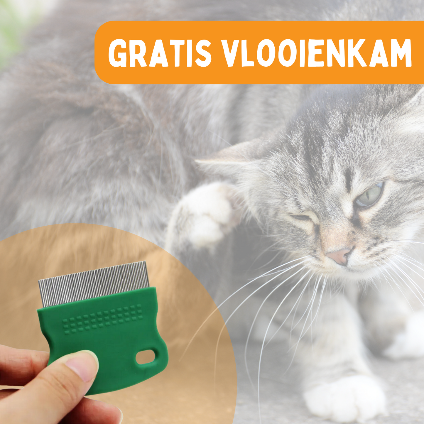 Vlooienband Kat - Effectief Tegen Vlooien En Teken - Grijs of Zwart